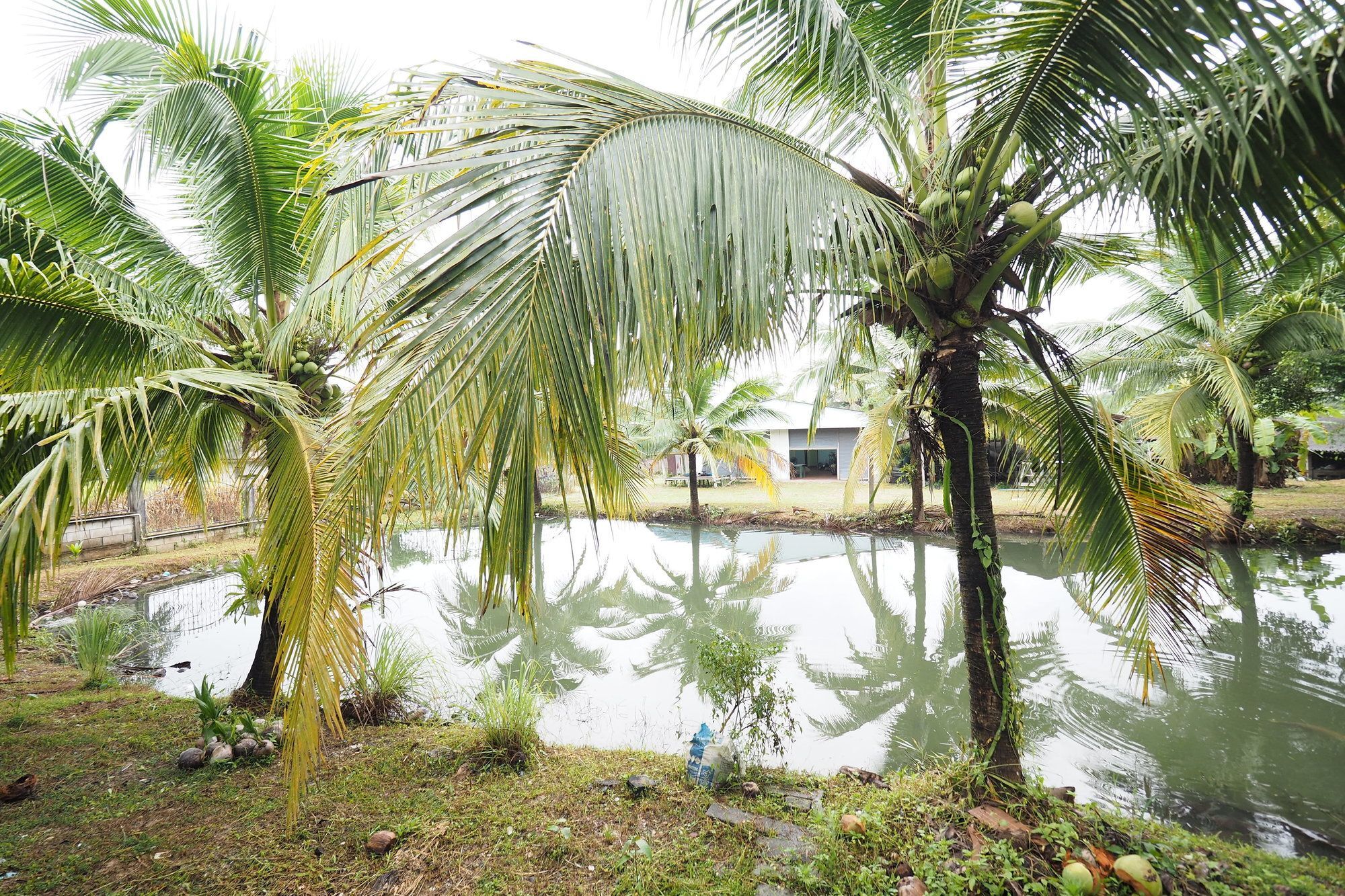 Oyo 75515 Sairung Farmstay Krabi town Dış mekan fotoğraf