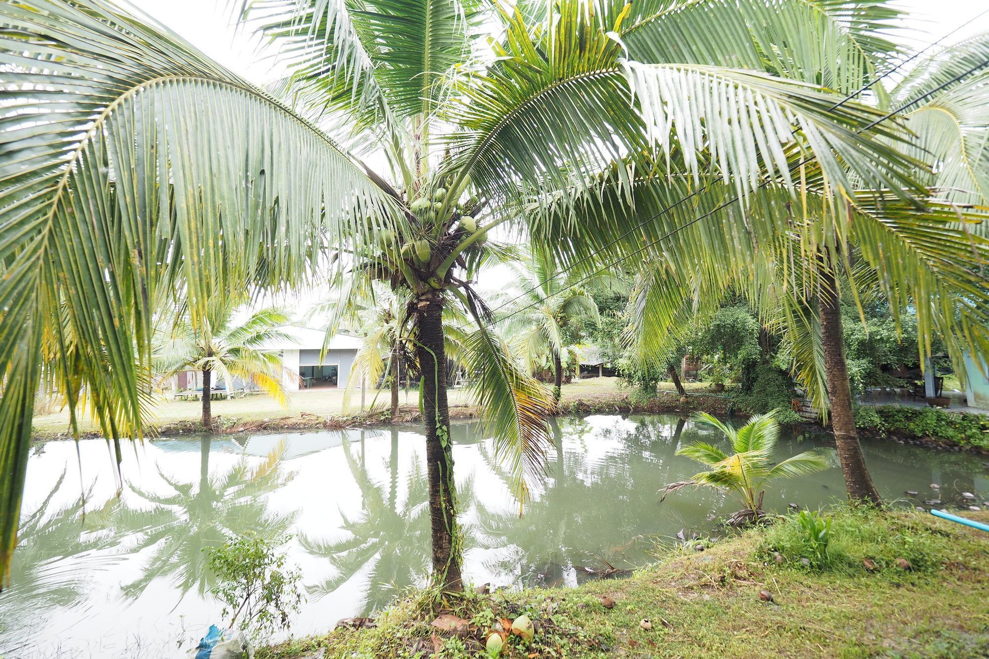Oyo 75515 Sairung Farmstay Krabi town Dış mekan fotoğraf